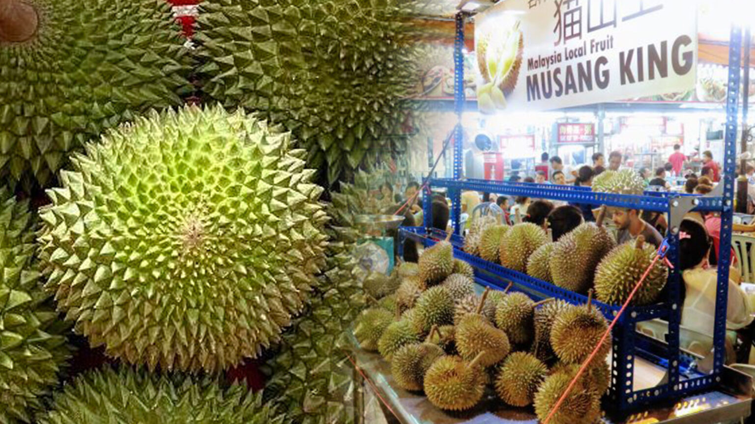 ទុរេនម៉ាឡេស៊ីលក់បានថ្លៃខ្ពស់បំផុតនៅក្នុងទីផ្សារចិន